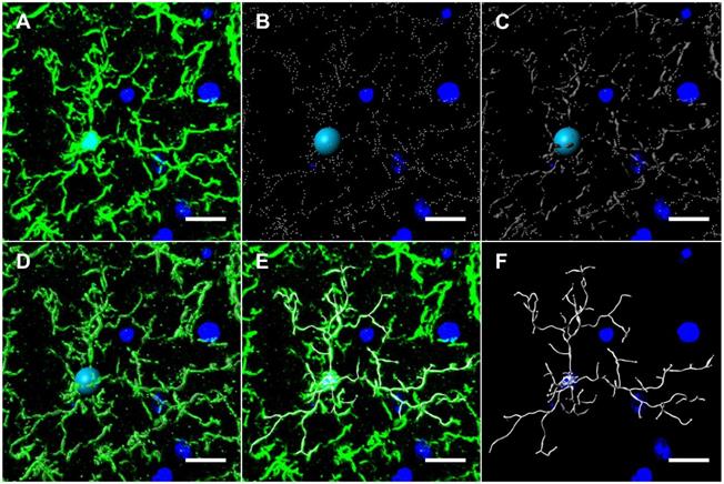 Theranostics Image