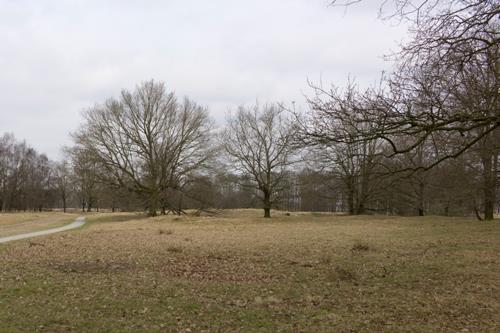 German Anti-tank Ditch Ballorveld