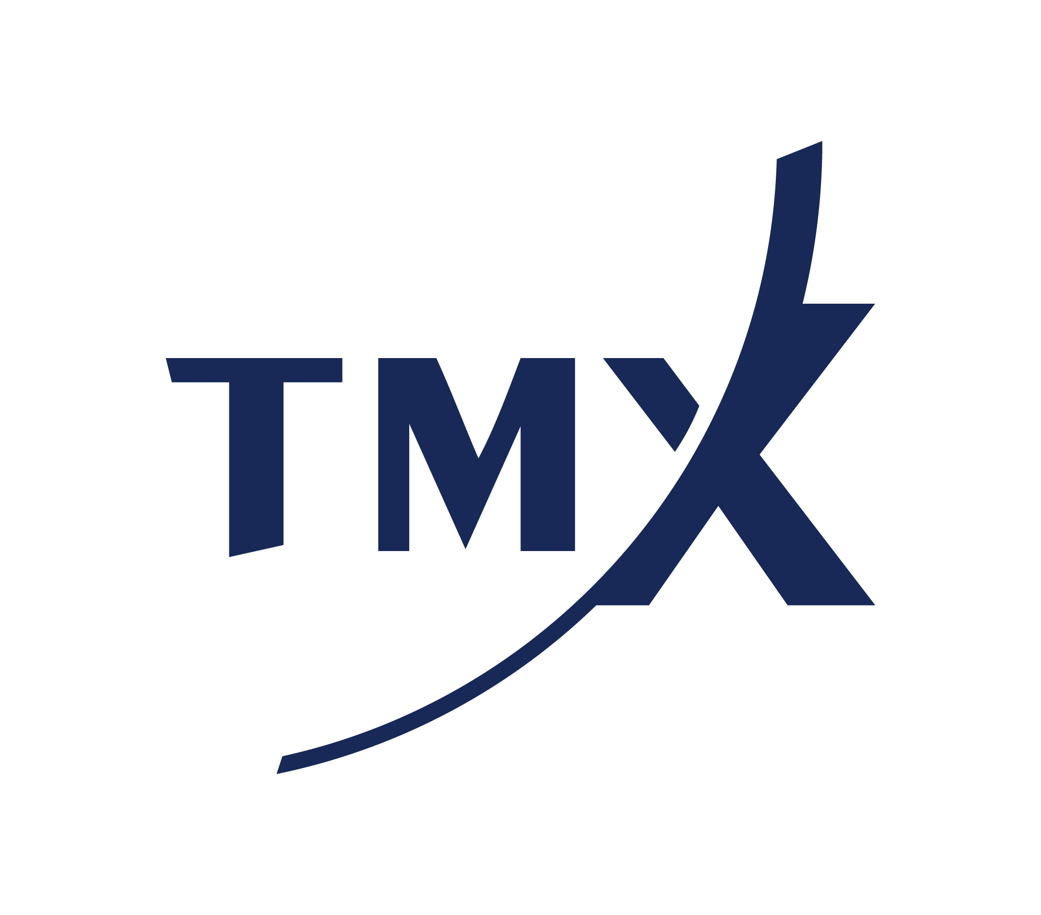 TMX Logo