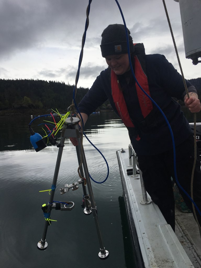 Samantha Allen, summer 2023 awardee, deploying a drop camera in an oyster farm in Peterson Bay.