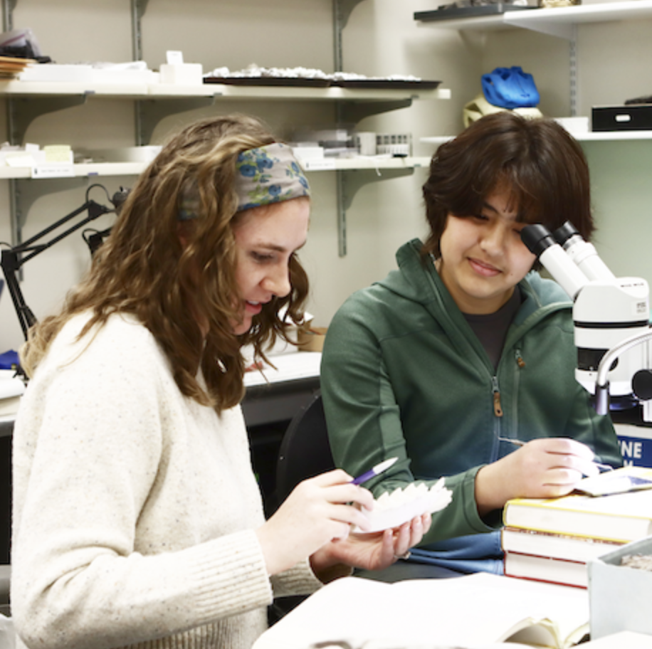 Lauren Wilson, graduate student and 2023 mentor awardee, works with Xochitl Muñoz, Geoscience major, at the University of Alaska Museum of the North.