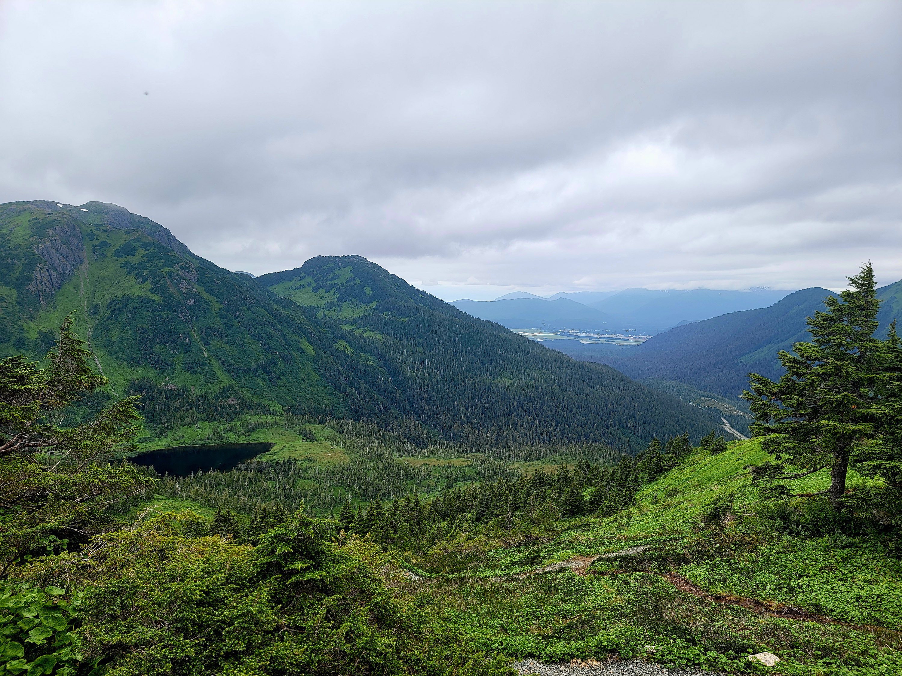 Southeast Alaska landscape. Photo by E. Figus. 