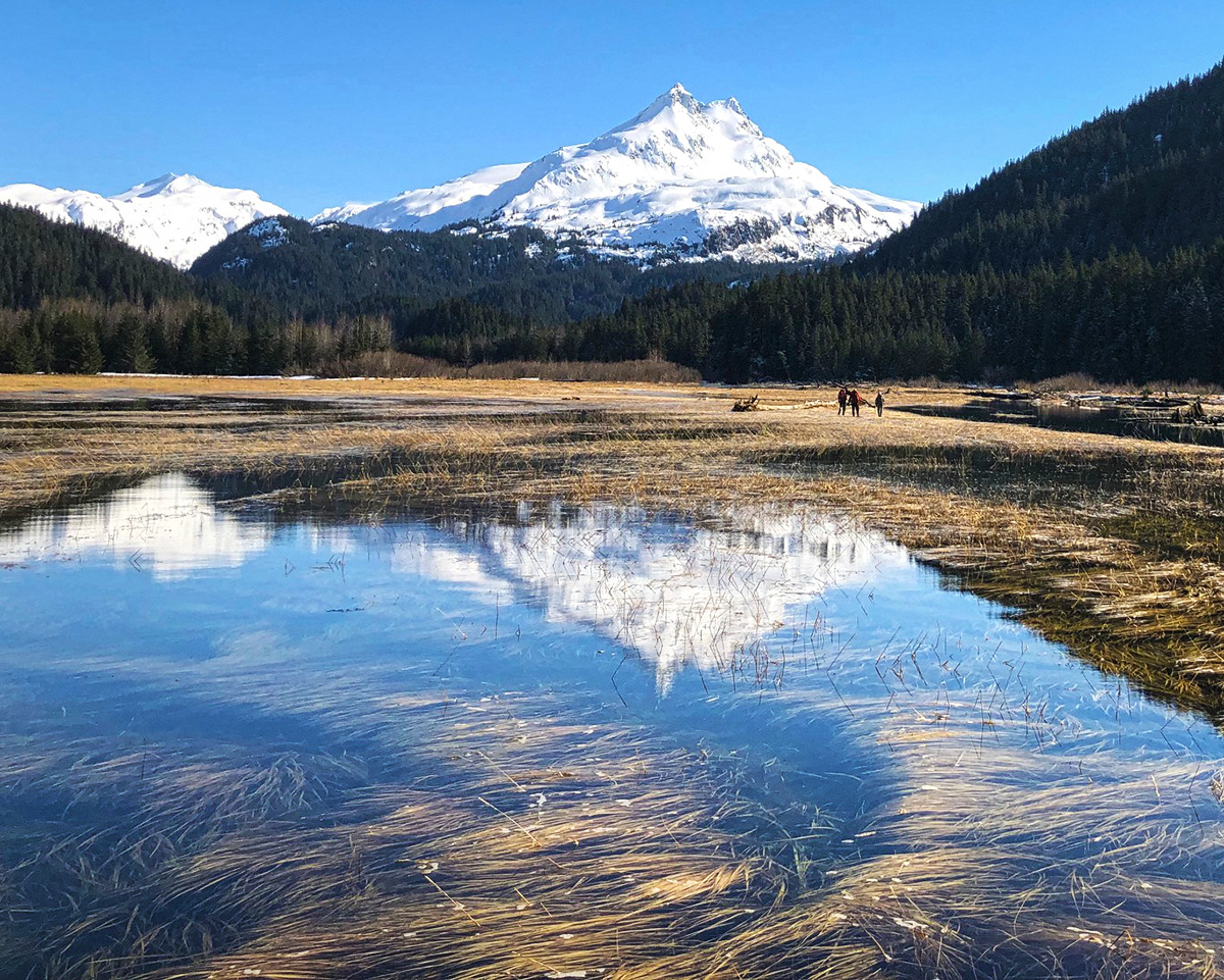 Alaska EPSCoR Fire and Ice stream team members LeeAnn Munk, Eric Klein, and Jordan Jenckes approaching a sampling site at Tutka Bay. 