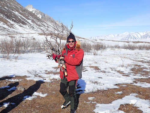 A man in a red coat gathers wood.