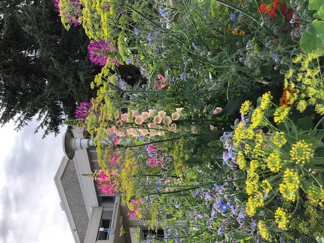 A flower bed in full bloom at the Arctic Health Research Building.