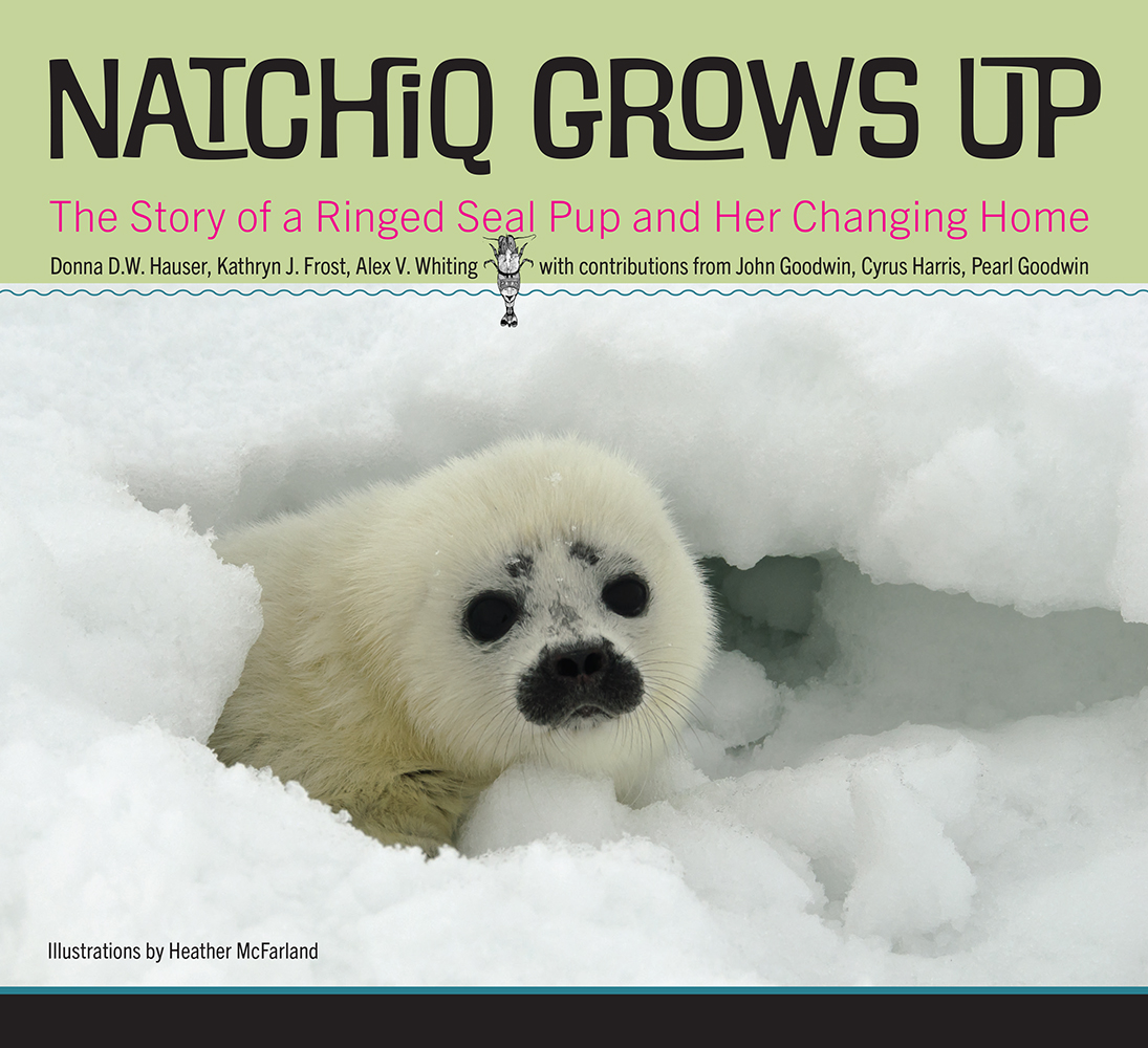 Front cover of the Natchiq Grows Up. Cover photo: Ringed seal near Kotzebue, Alaska.