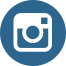 Instagram Logi Icon