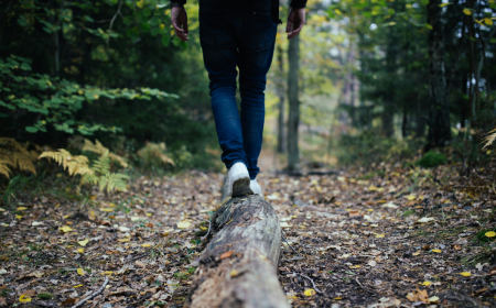 Man walking on the forest