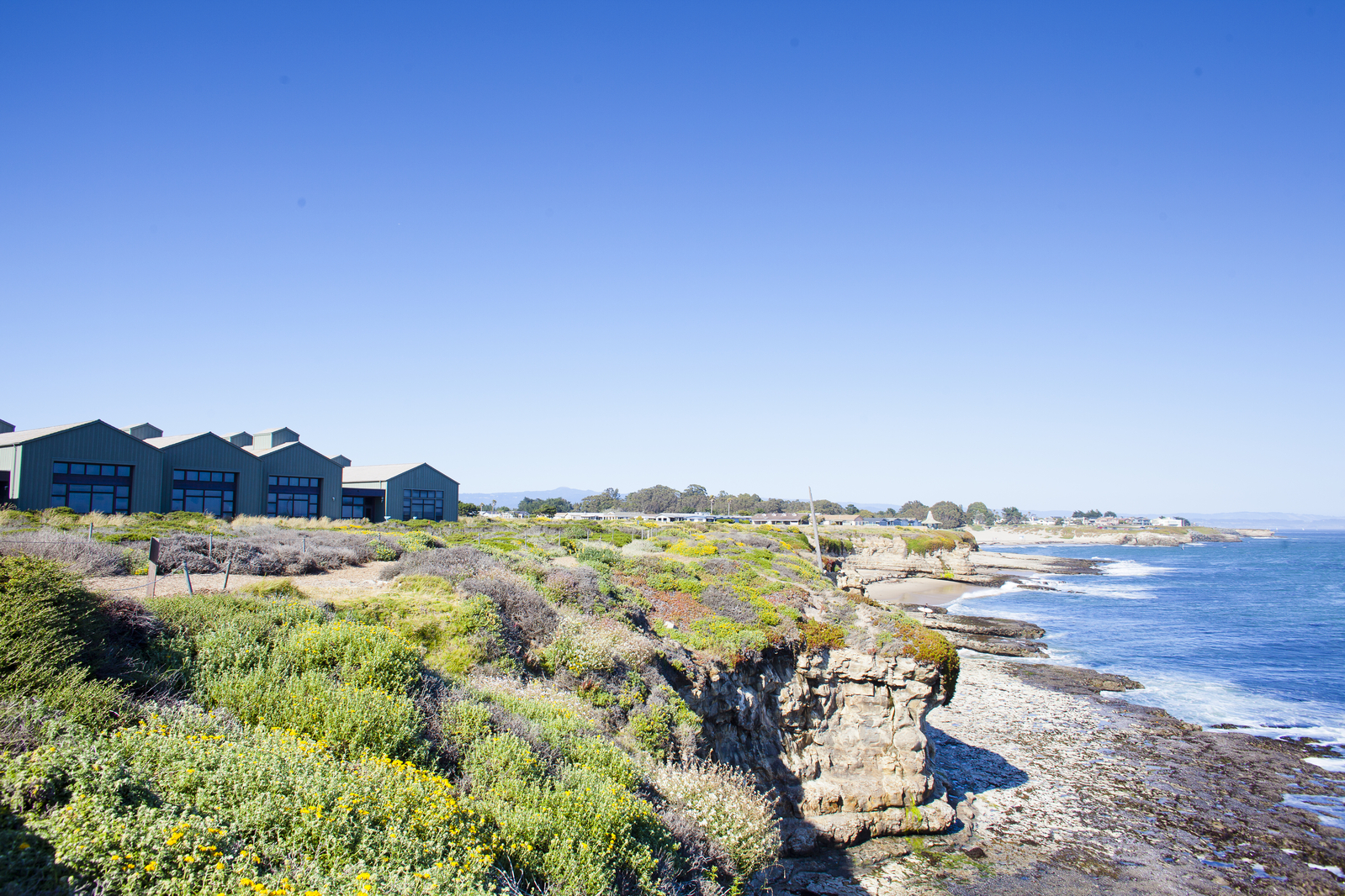 Coastal campus building on the cliffs overlooking the ocean.