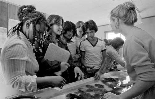 Students from UC Santa Cruz's first classes—many of whom had learned about it from an article in Life magazine—often say they were attracted to its redwood-studded landscape, mind-expanding vistas, and the sense that it was a place where dreams could become reality.