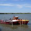 Man Driving Boat in Pichavaram Lake