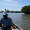 Man Driving Boat in Pichavaram Lake