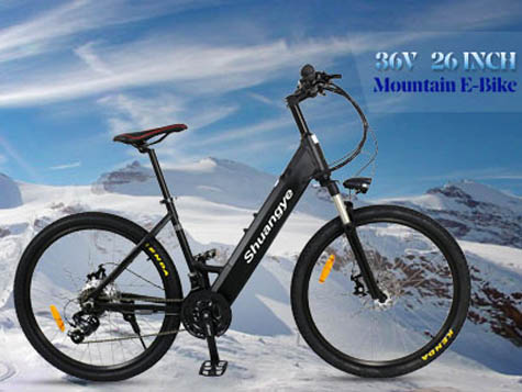 Shuangye hot sell Electric Bike video