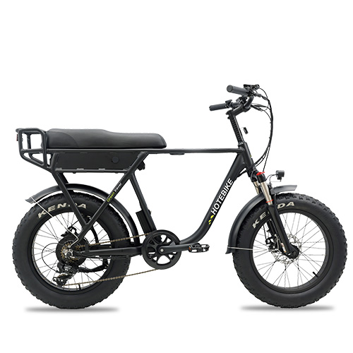 electric bike beach cruiser fat tire 500w 750w rear motor