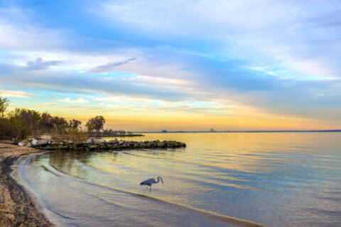 Md. gets passing grade on coastal climate change preparedness with room for improvement