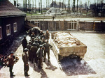 Medics of US 3rd Army conferring at Buchenwald Concentration Camp near a wagon full of camp victims, Weimar, Germany, 11 Apr 1945