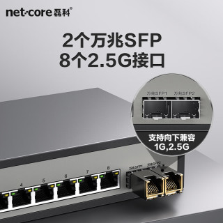 磊科（netcore）GS10 10口2.5G交换机 8个2.5G电口+2个万兆SFP光口千兆分线器 兼容1G光电模块 