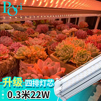 珀誉 多肉补光灯 T20四排灯芯 30CM-22W led家用室内花卉防徒植物生长灯