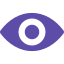 Eye Icon