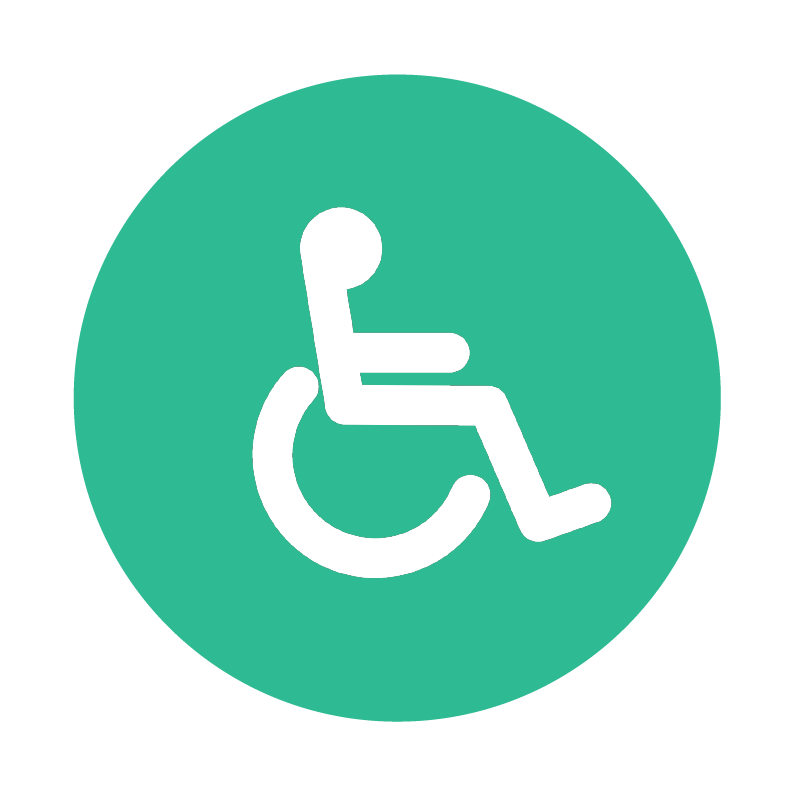 Icons Icon-BTW-Disability