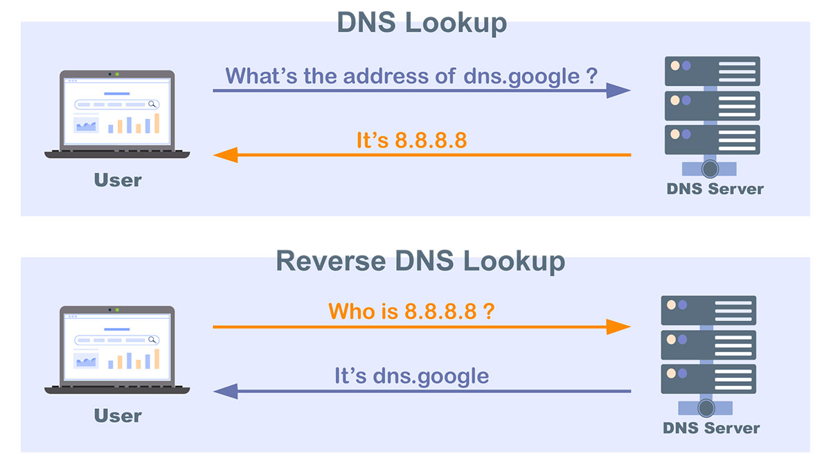 正向DNS解析和反向DNS解析的示意图