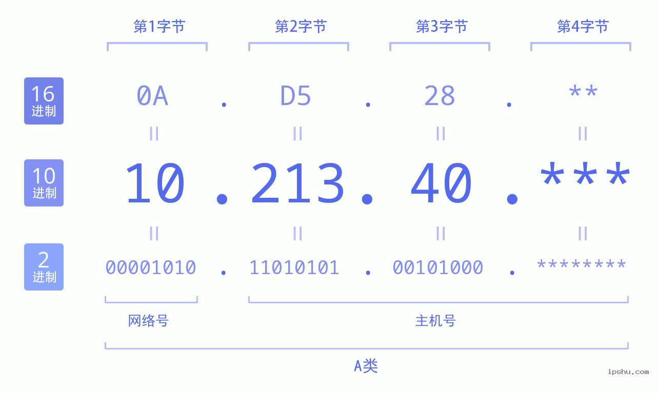 IPv4: 10.213.40 网络类型 网络号 主机号