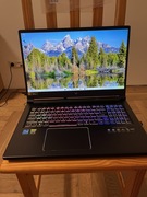 Laptop Gamingowy Acer Predator Helios 300