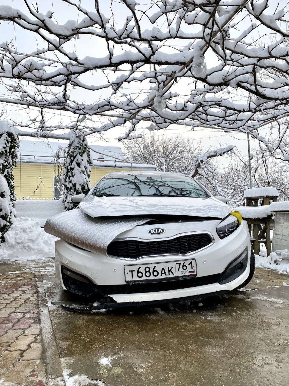 Фото в бортжурнале KIA Ceed (2G)