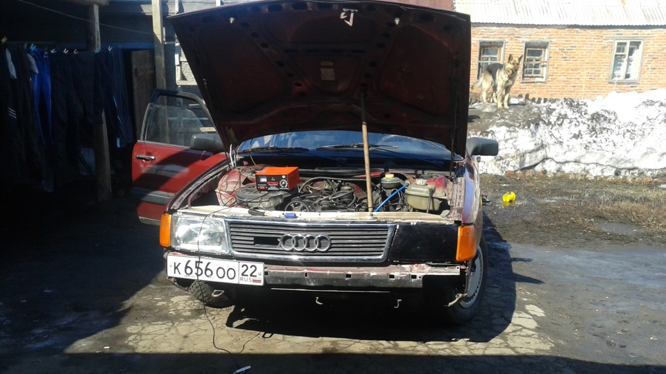 Audi 100 пират)