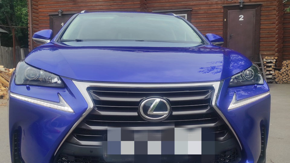 Lexus NX - Василёк