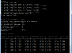 Program output during network training