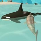 shark simulator