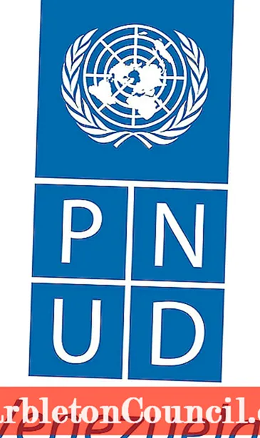 UNDP nozīme