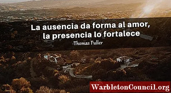 35 Frases de falta