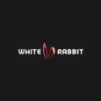 White Rabbit