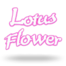 Lotus Flower