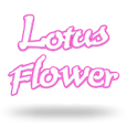 Lotus Flower