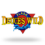 Deuces Wild Video Poker