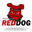 Red Dog