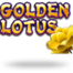 Golden Lotus