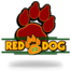 Red Dog