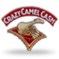 Crazy Camel Cash