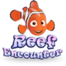 Reef Encounter