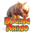 Raging Rhino