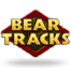 Bear Tracks