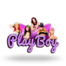 Play Boy Slot