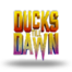 Ducks Till Dawn