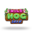 Wild Hog Luau