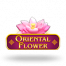 Oriental Flower