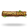 Stampede Gold